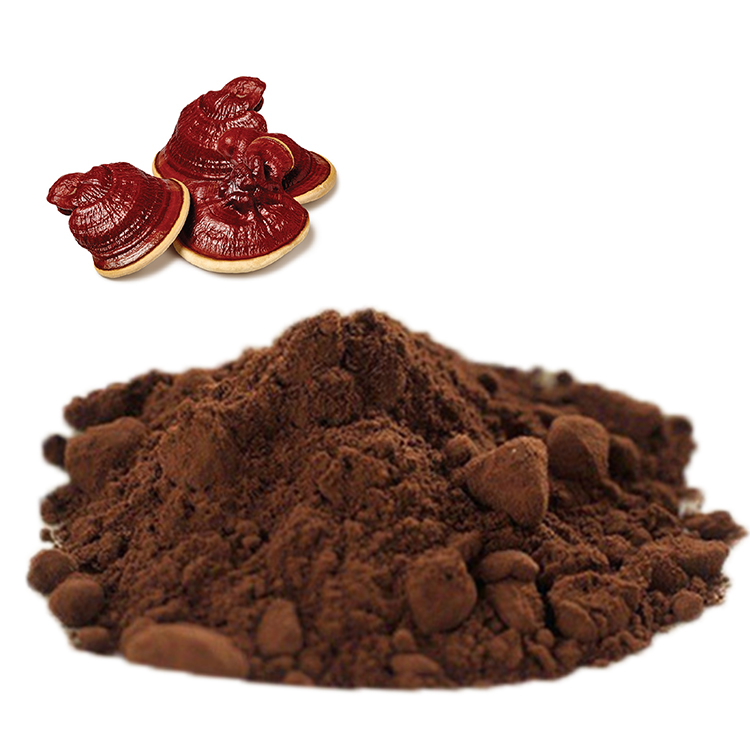 Lingzhi Coffee 3 in 1 Cordyceps Arabica with Chaga Mushroom Water Extracted Powder Packaged in Bag or Drum